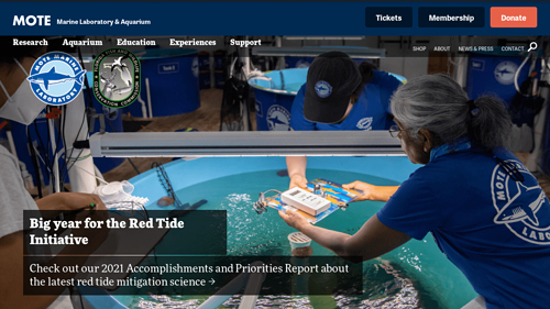 Mote Marine Laboratory and Aquarium